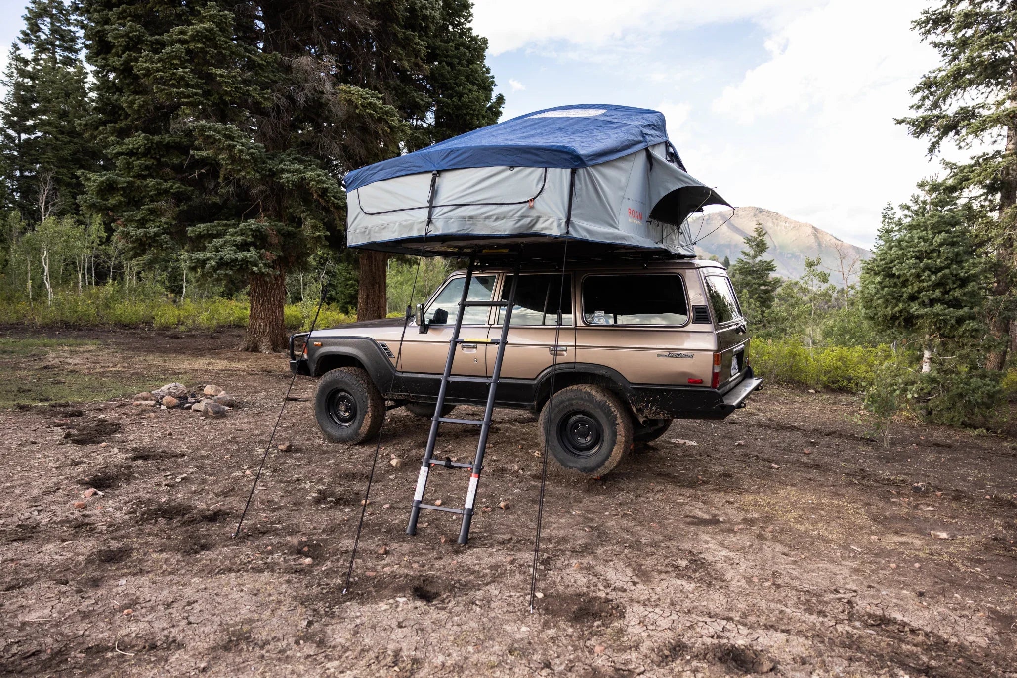 SUV with rooftop tent and ladder set up in a forested overlanding campsite