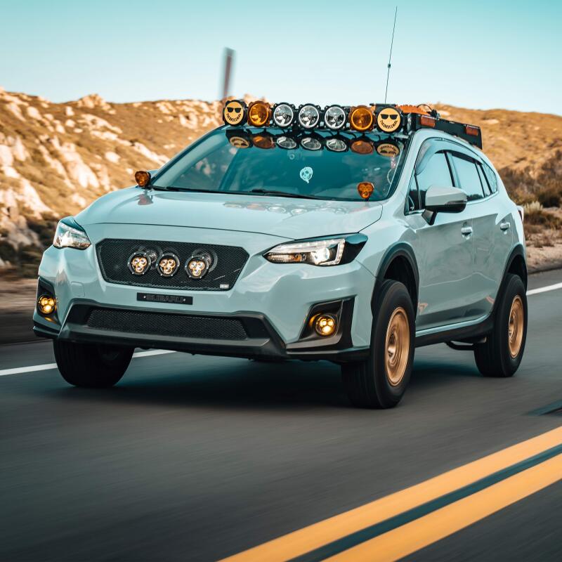 07270916a6cb39b1dc0ea6f818814a45L - NVMOS