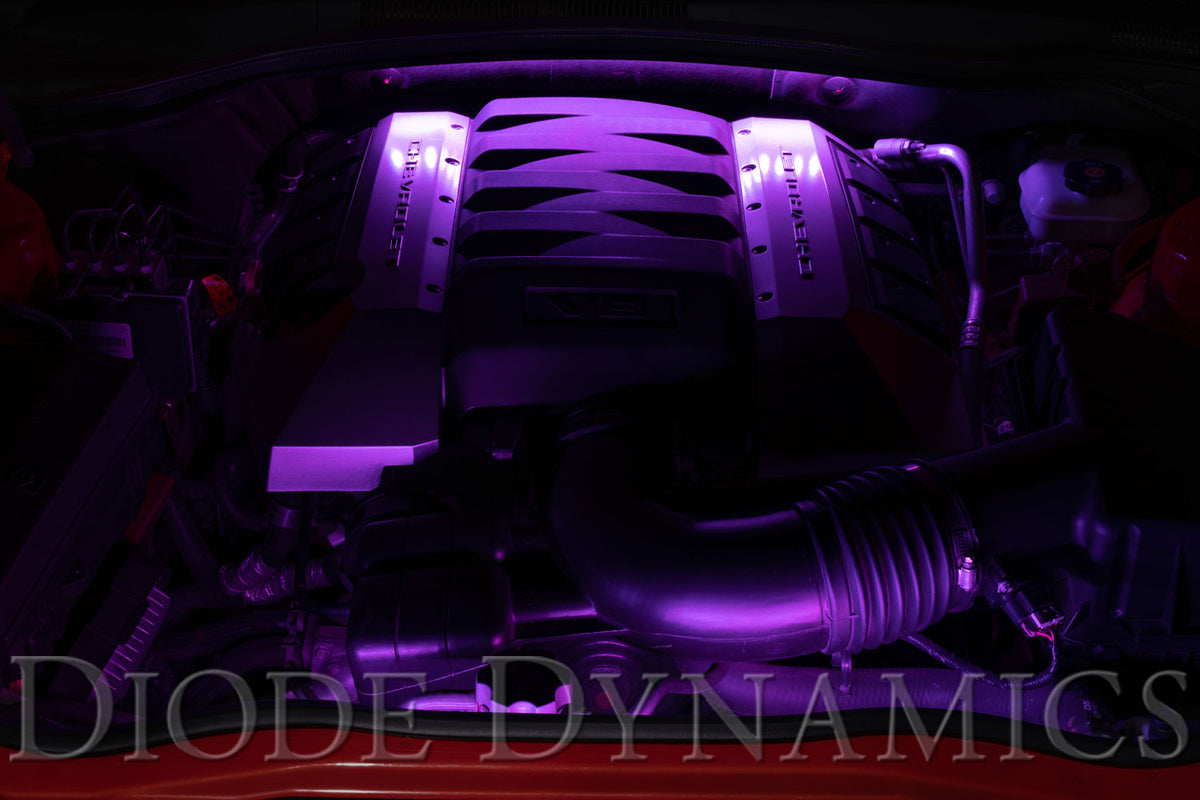 Diode Dynamics RGBW Multicolor Engine Bay LED Kit for trucks and SUVs – lit