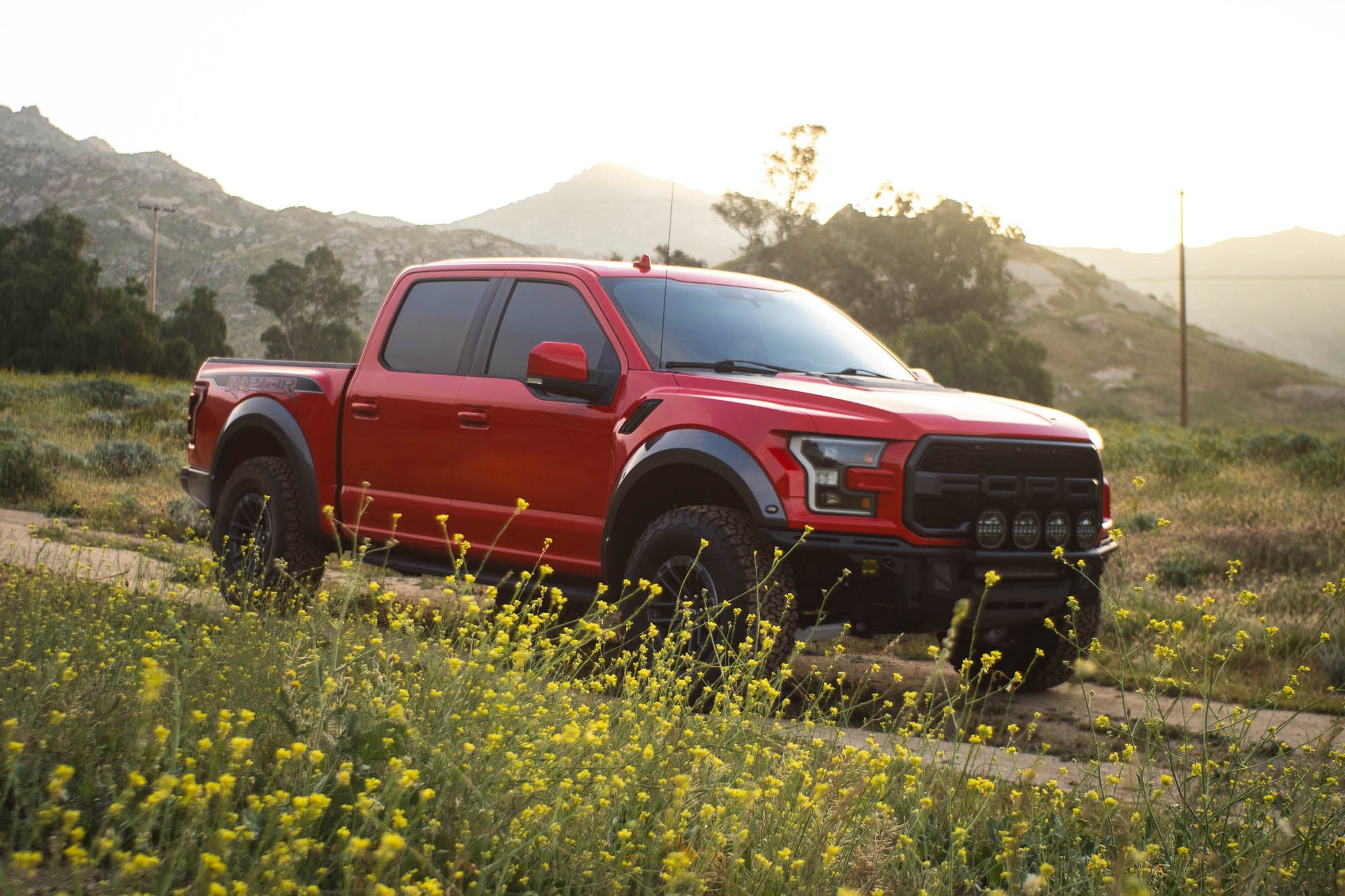 2017-2020-Ford-F-150-Raptor-Tube-Front-Bumper-Installed-4 - NVMOS