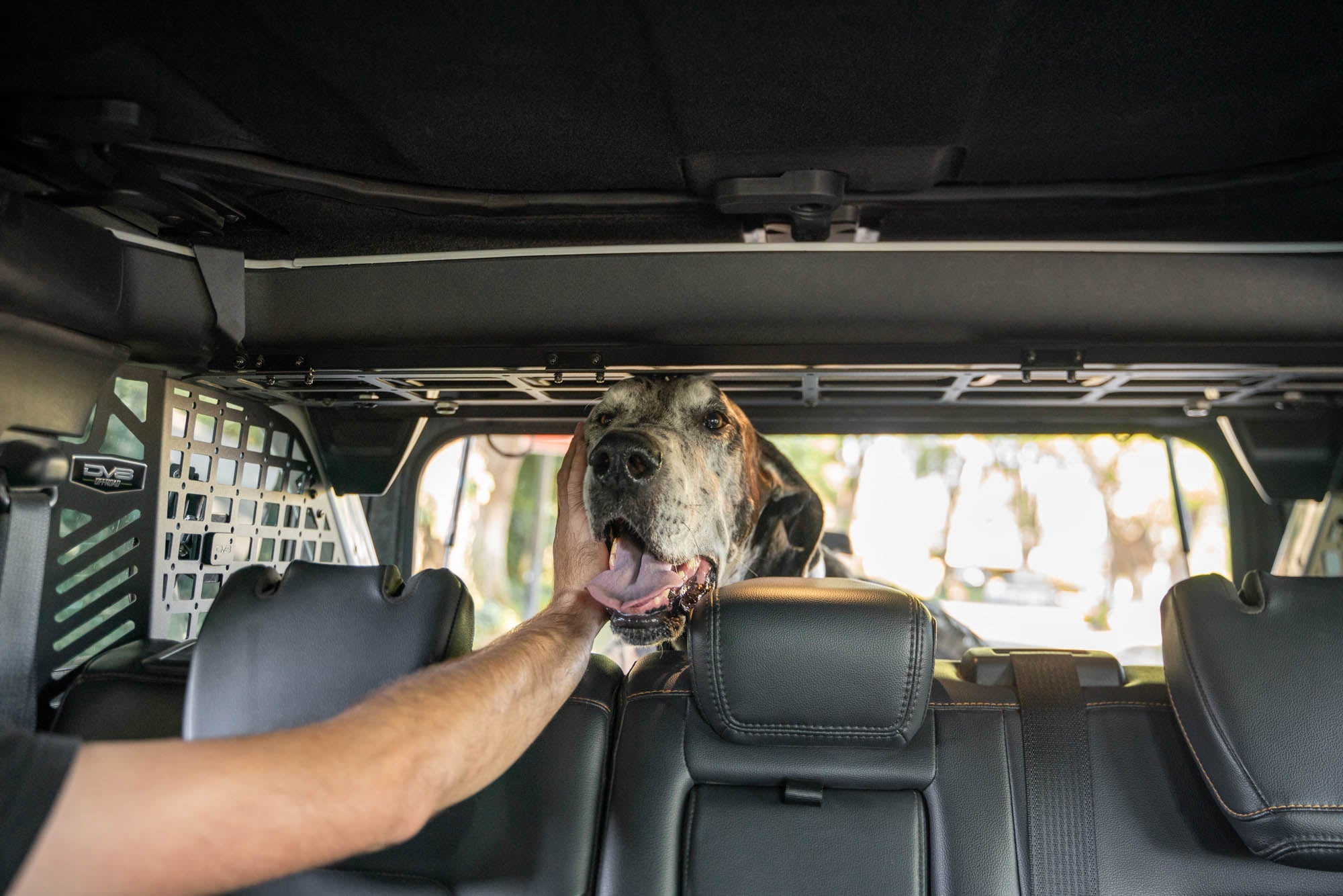 2021-2024-Ford-Bronco-Dog-Barrier-With-Dog-11 - NVMOS