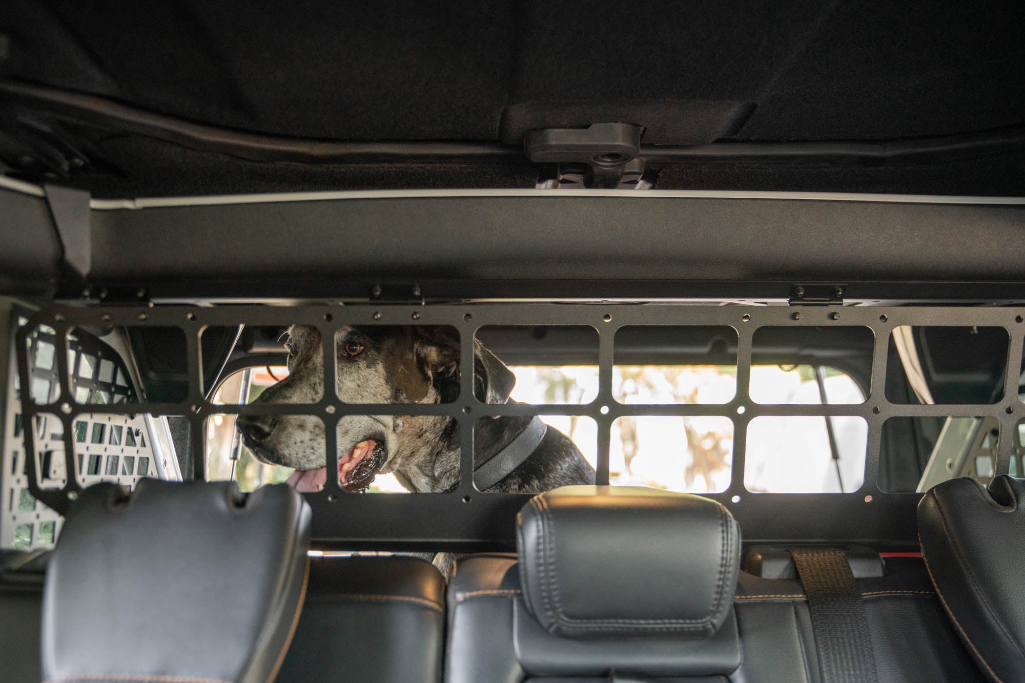 2021-2024-Ford-Bronco-Dog-Barrier-With-Dog-8 - NVMOS