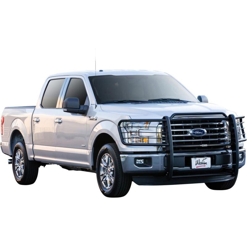 Westin Sportsman Grille Guard, fits Ford F-150