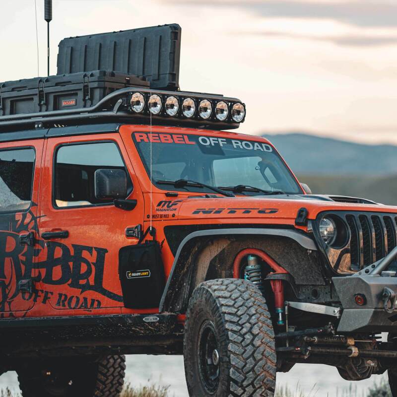 4eb923a100e33f559042aec183090b25L - NVMOS