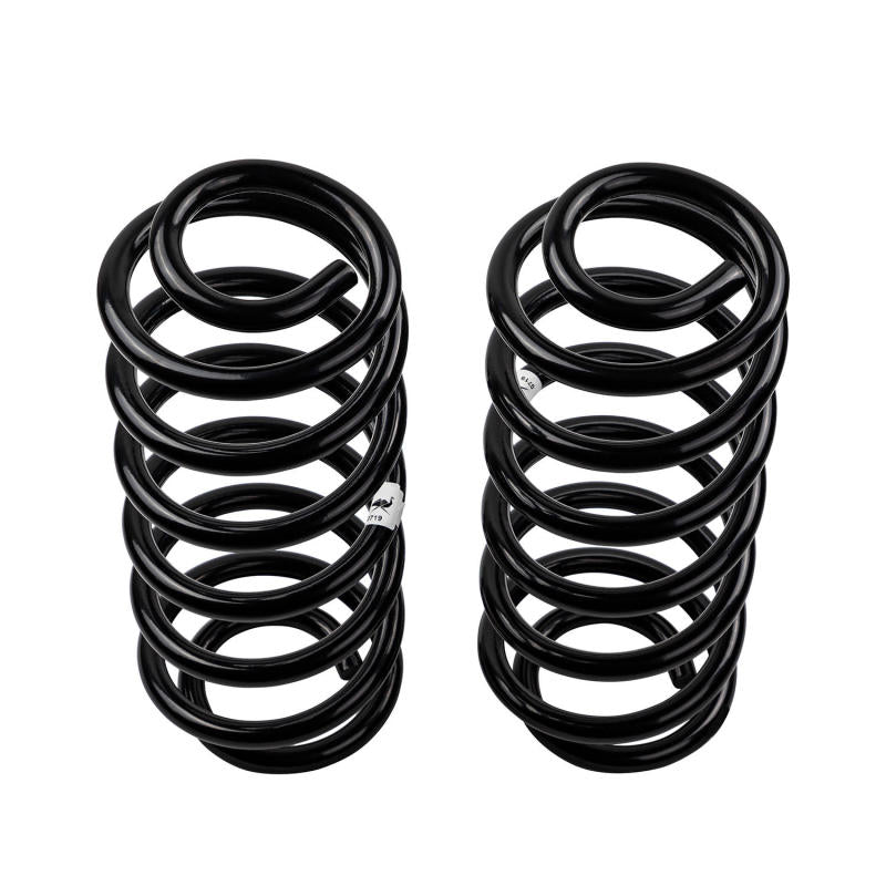 Old Man Emu Rear Coil Spring Set, 330 lb Load (0-3 in. Lift)