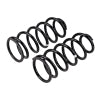 Old Man Emu Rear Coil Spring Set, fits Toyota 4Runner