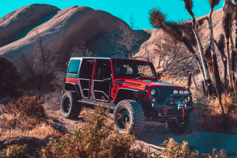 Body Armor 4x4 Tube Doors, Rear Pair, fits Jeep Wrangler