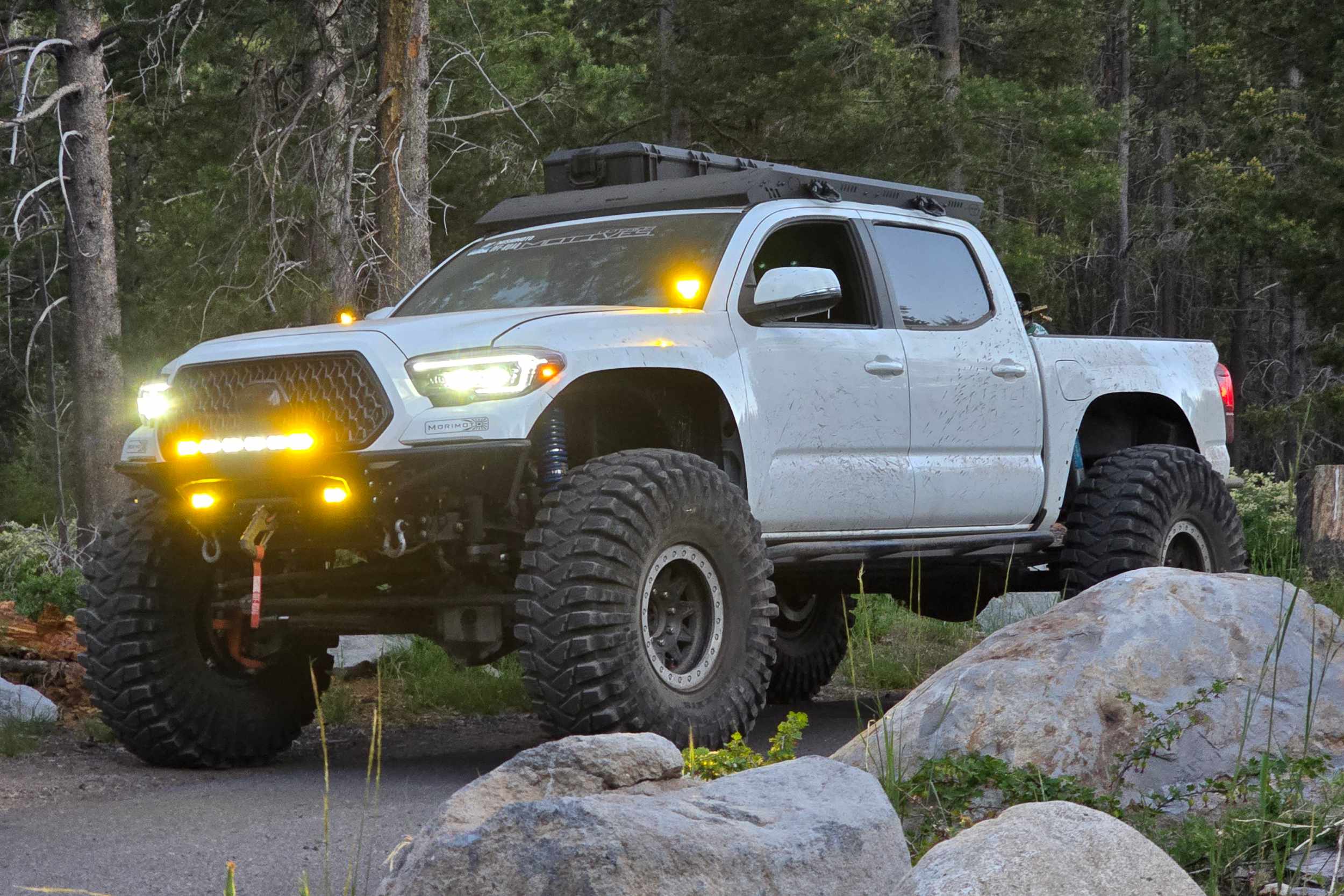 Morimoto Toyota Tacoma (16-23) 4Banger LED Ditch Light System