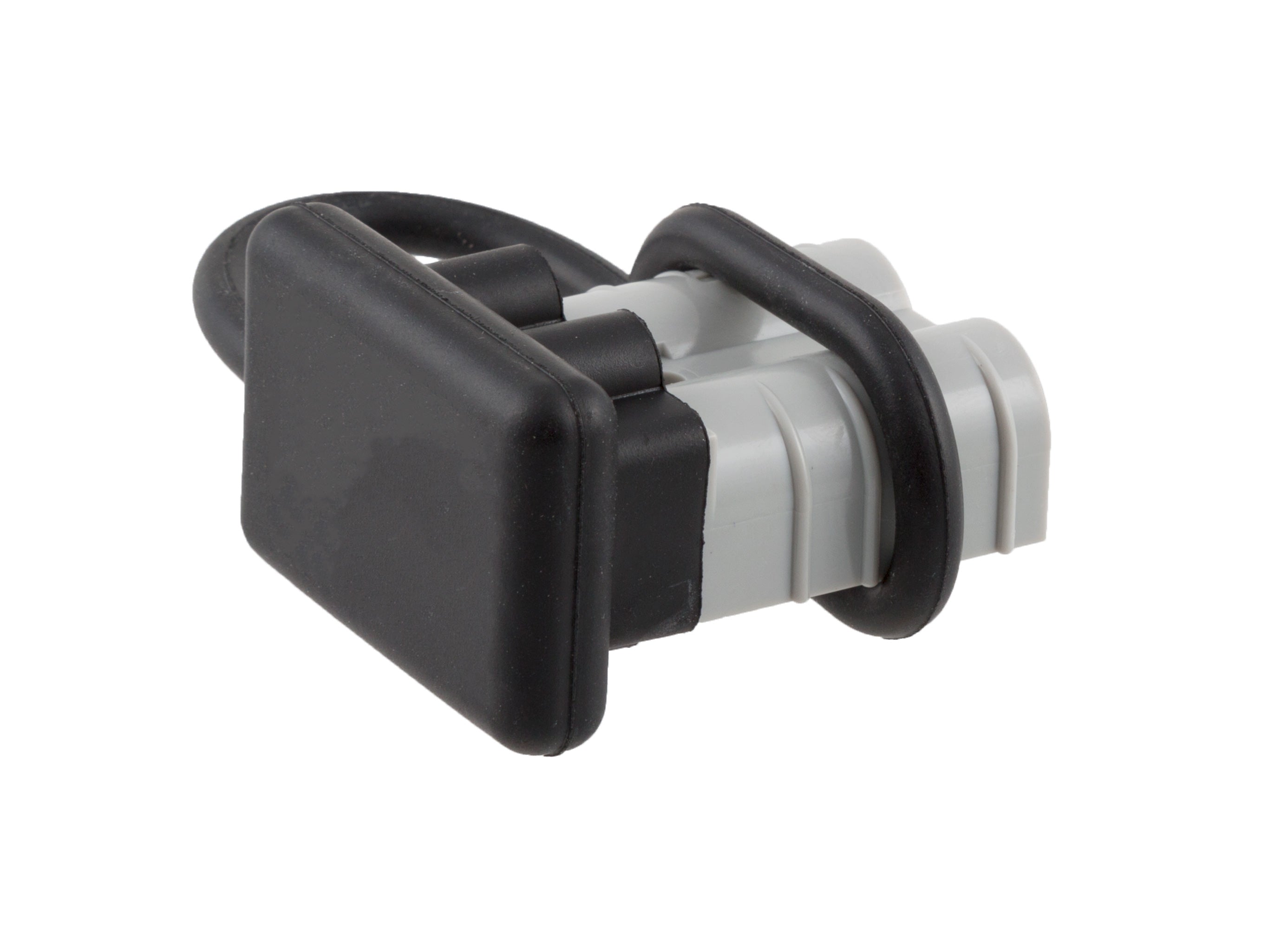 BSP00204 - NVMOS