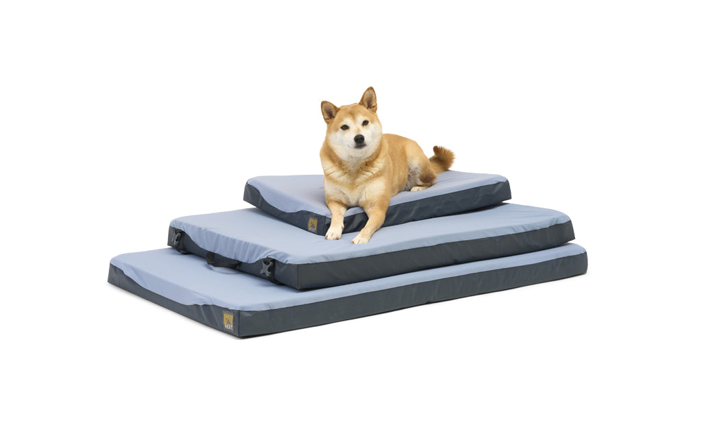 ColtonJacobs_20220423_DogBed_FrontAngle_Comparison_Stacked_wDog - NVMOS