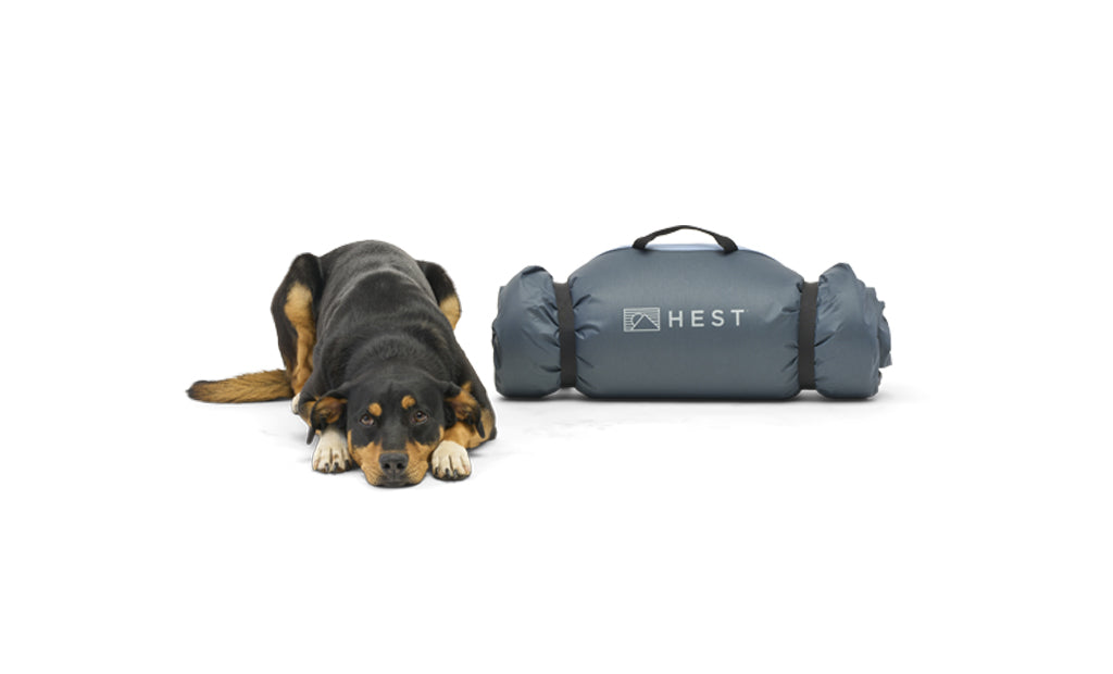ColtonJacobs_20220423_Med_DogBed_Packed_Roll_wDog - NVMOS