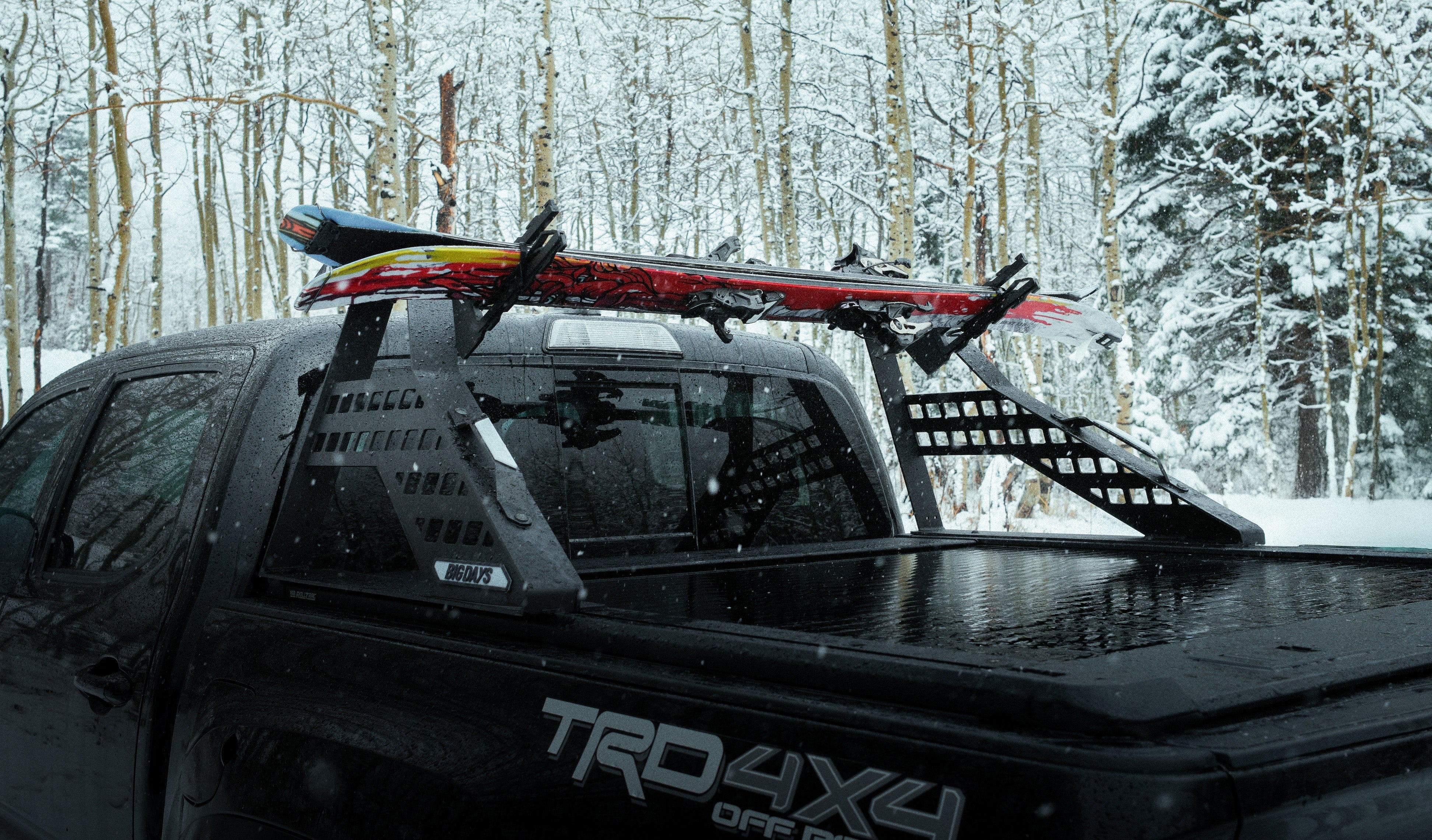 Ski/Snowboard Mount (Set of 2)