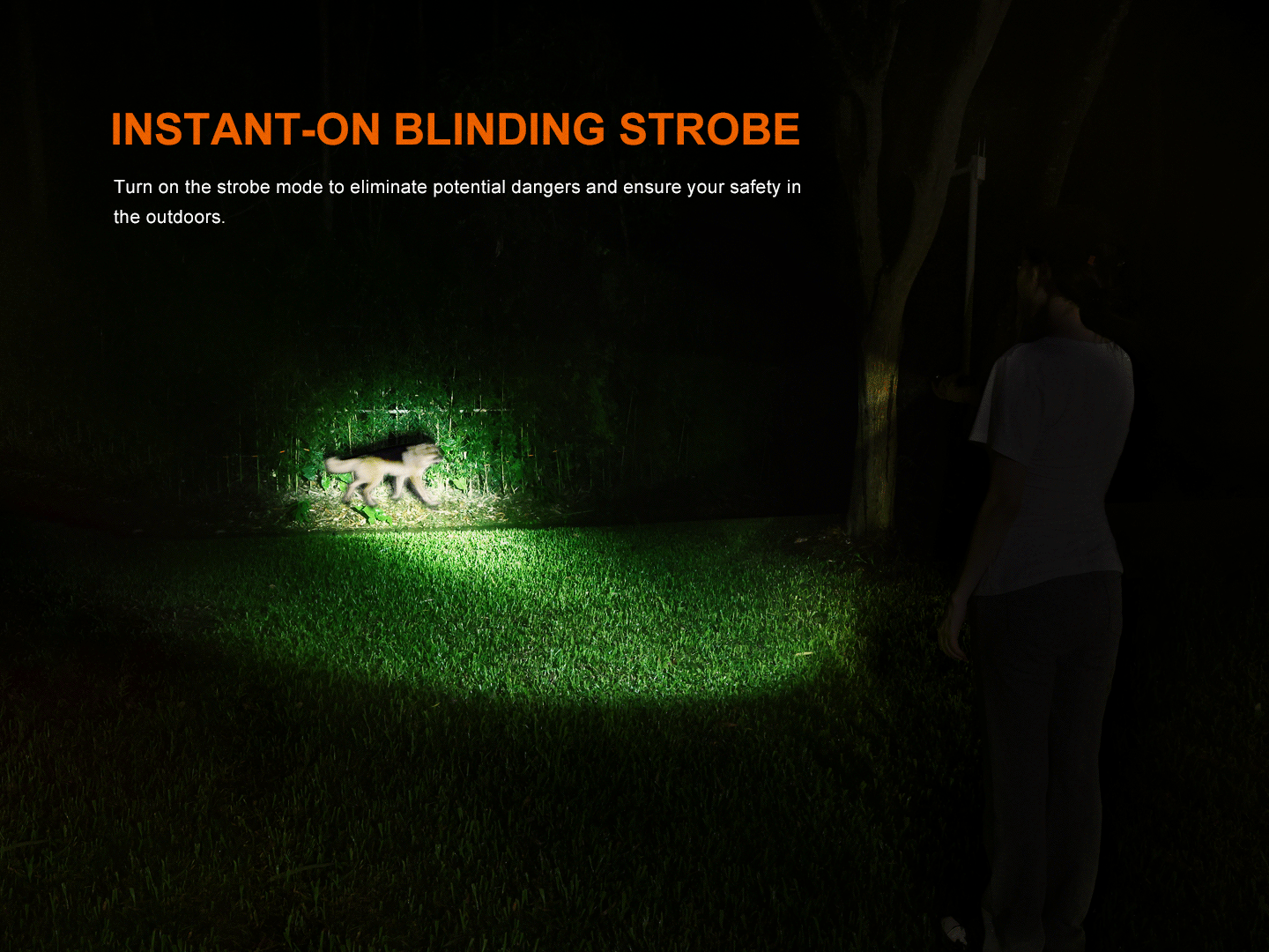 Fenix LD35R High Performance Multimode Tactical Flashlight