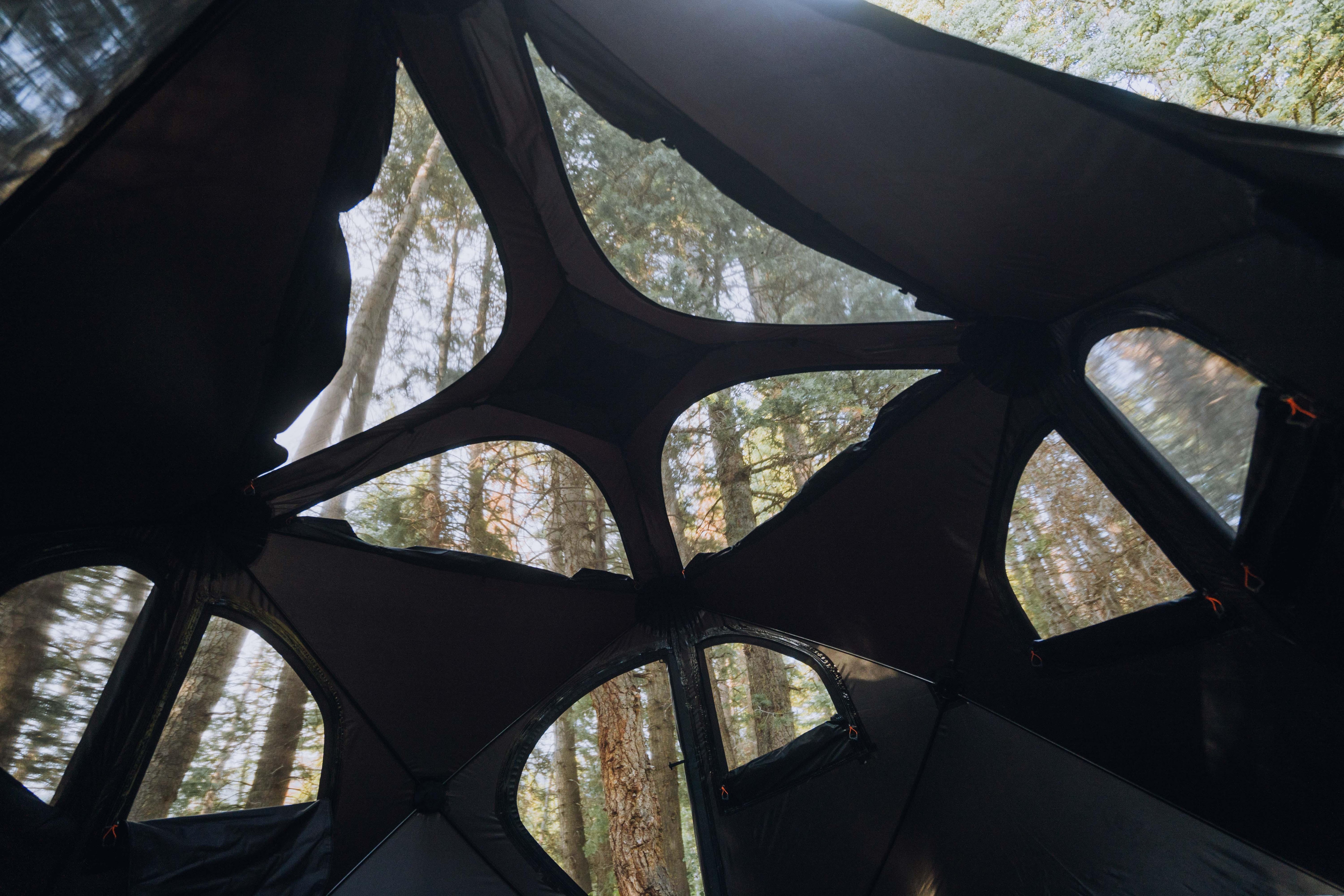 View from inside an expedition camping tent with mesh windows looking up at tall forest trees