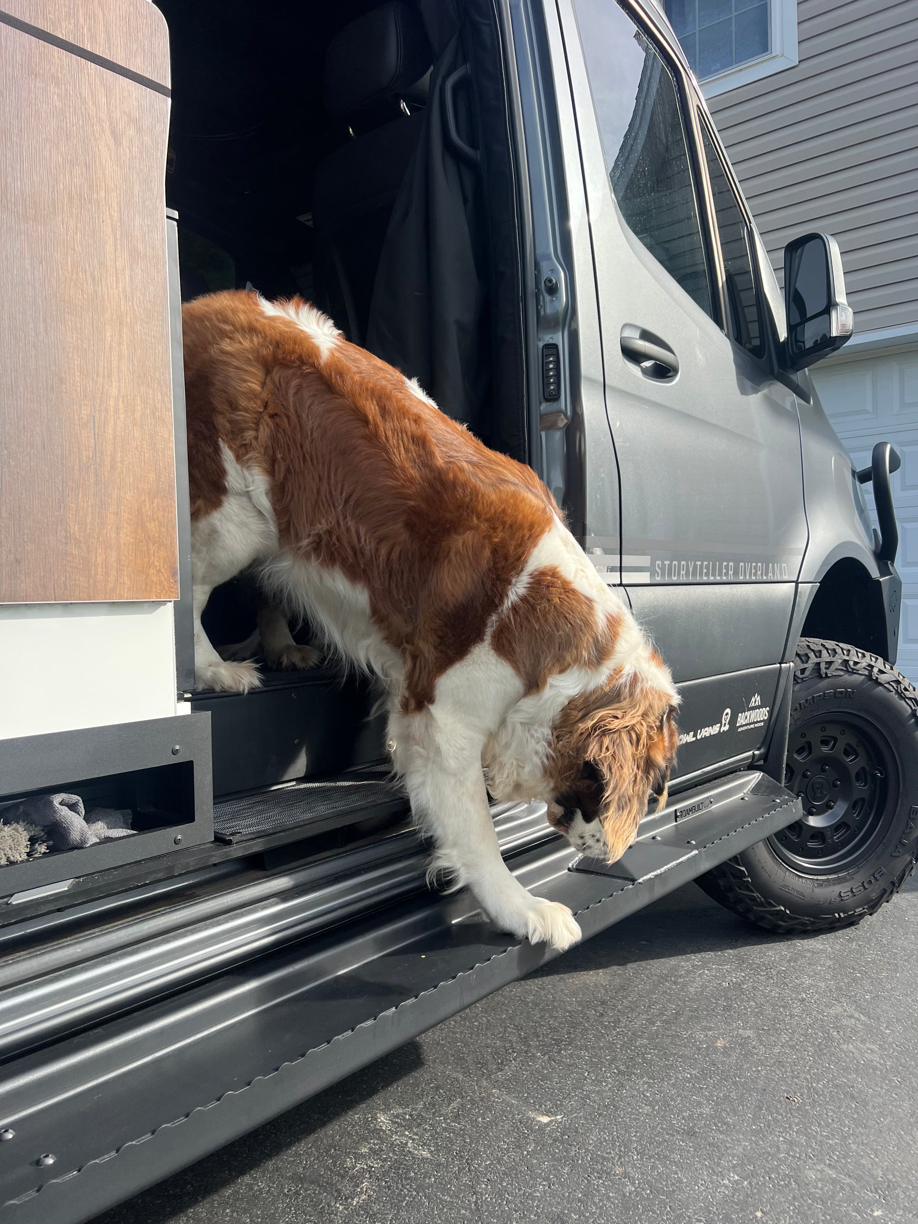 Sprinter Side Steps - Long/Flat Version (Passenger Side)