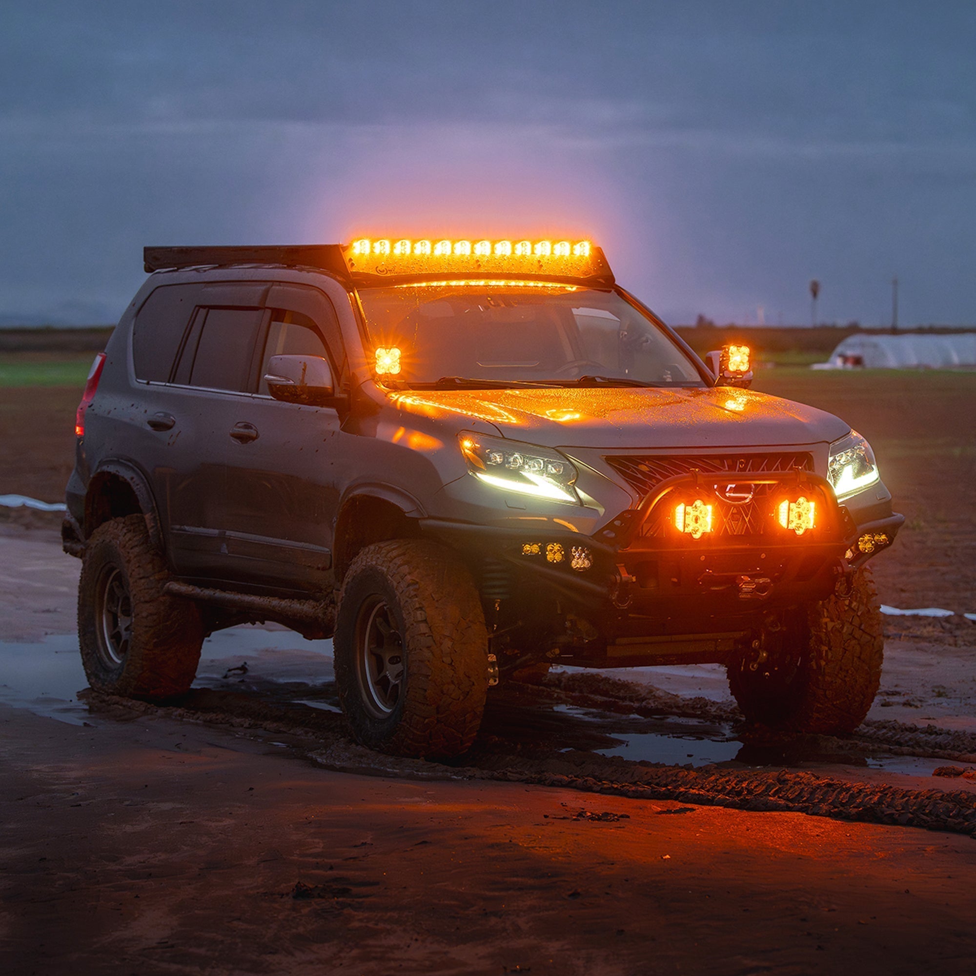 Lexus-GX-with-VEGA-7-amber-pods-and-roof-bar-in-mud_ae2c084c-b19b-4618-81ea-ac5aa326ebc0 - NVMOS
