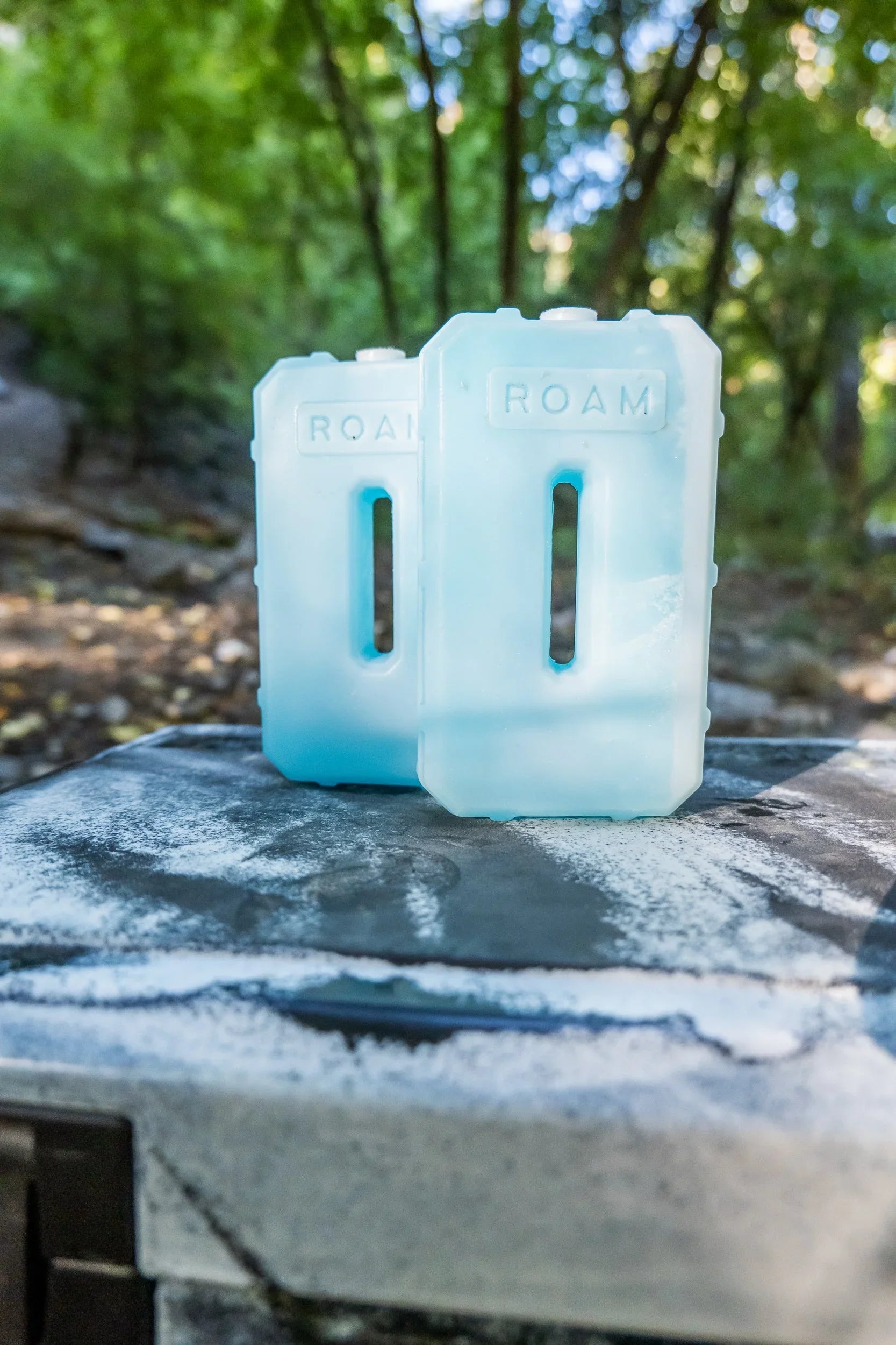 Two blue reusable ice packs on an outdoor cooler in a forest, ideal for camping gear.