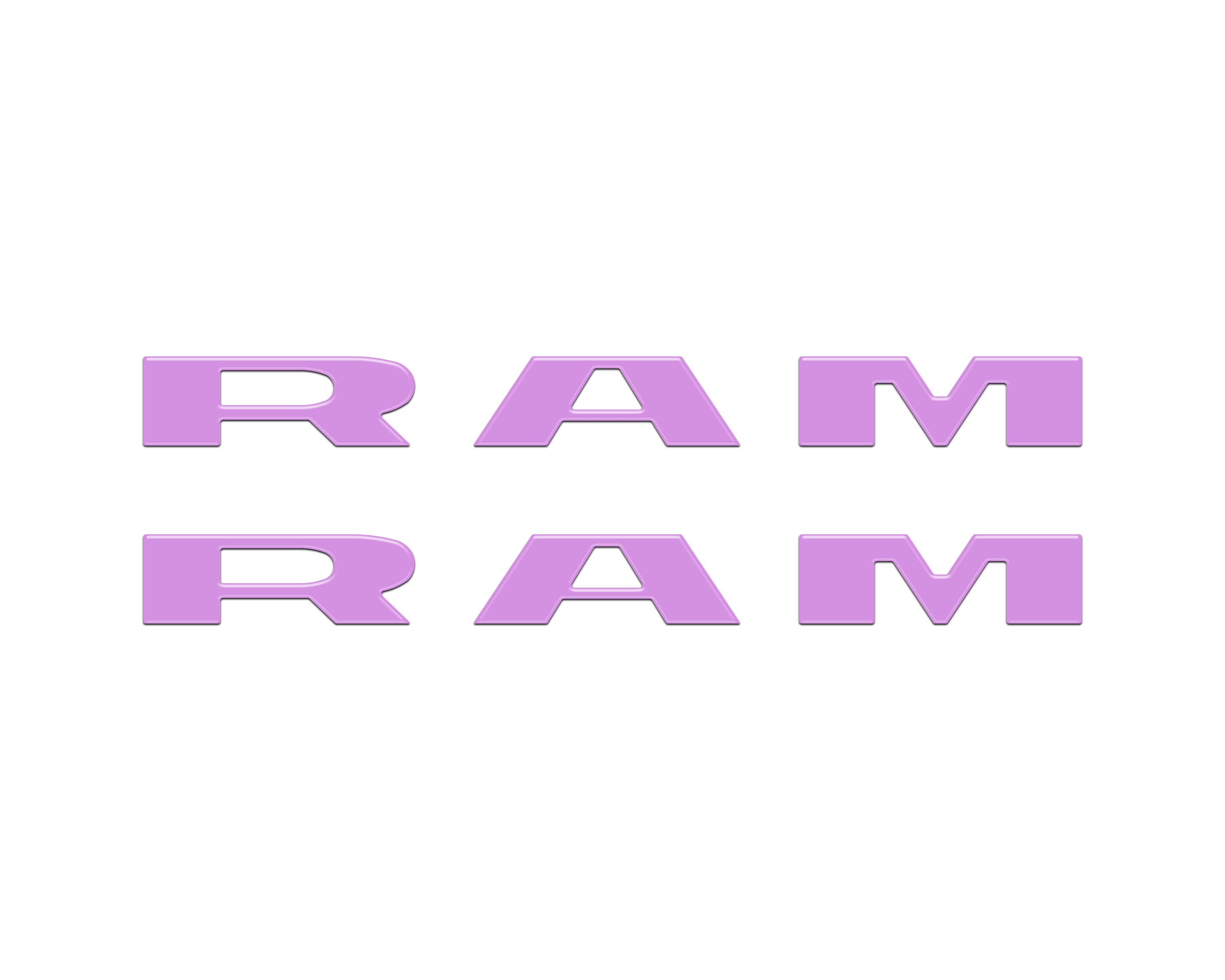 RAM010-PUR-G - NVMOS