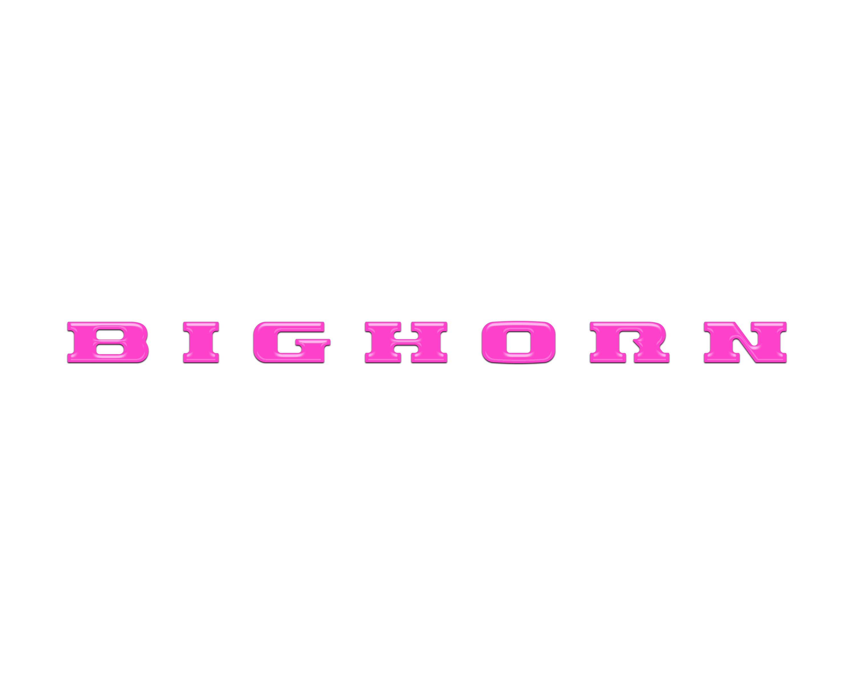 RAM038-HPK-G_3f76fd5e-c1a3-4ad0-b909-befc2f62e008 - NVMOS