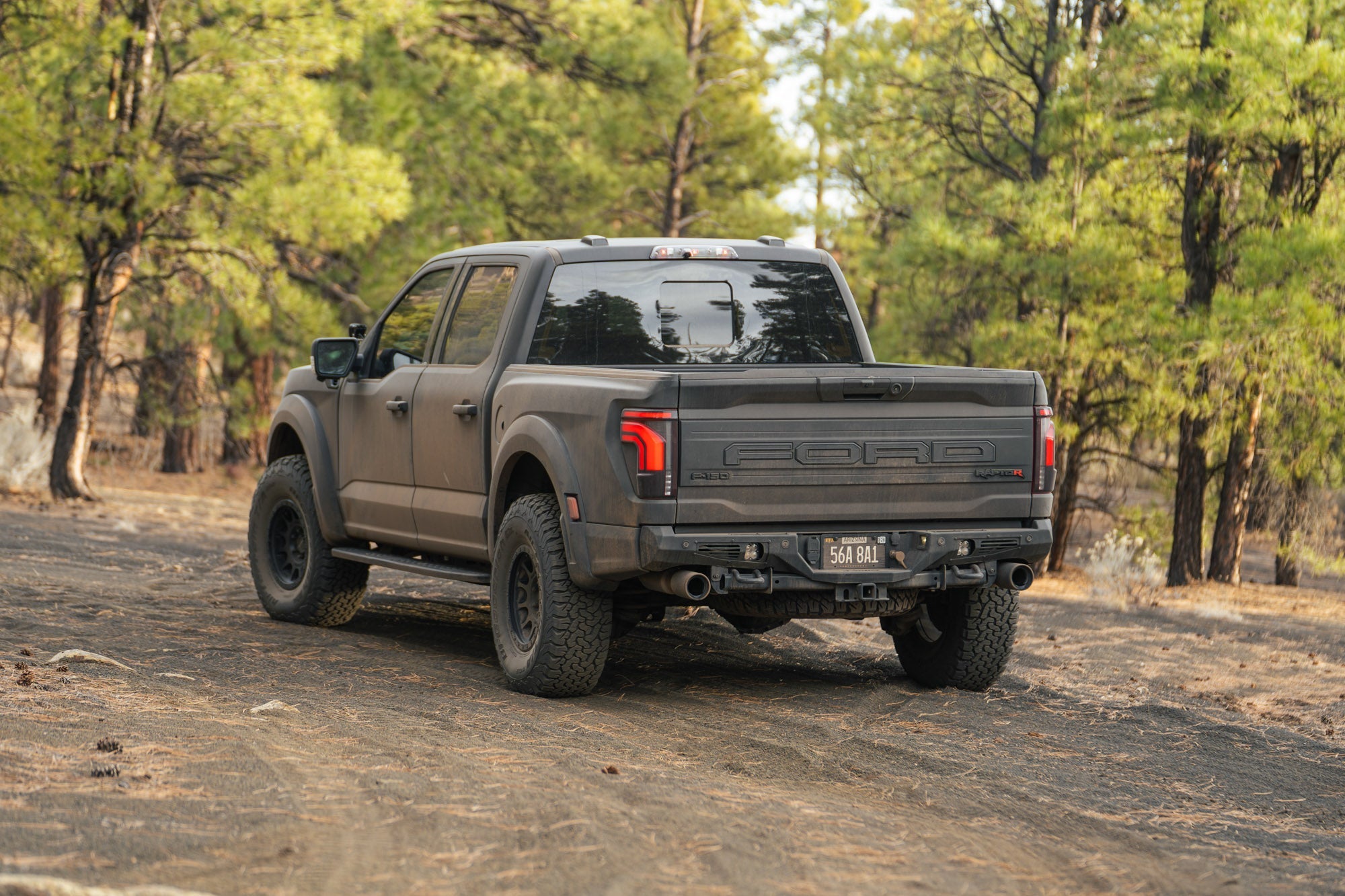 Raptor-At-Cinders-Web-Pics-16 - NVMOS