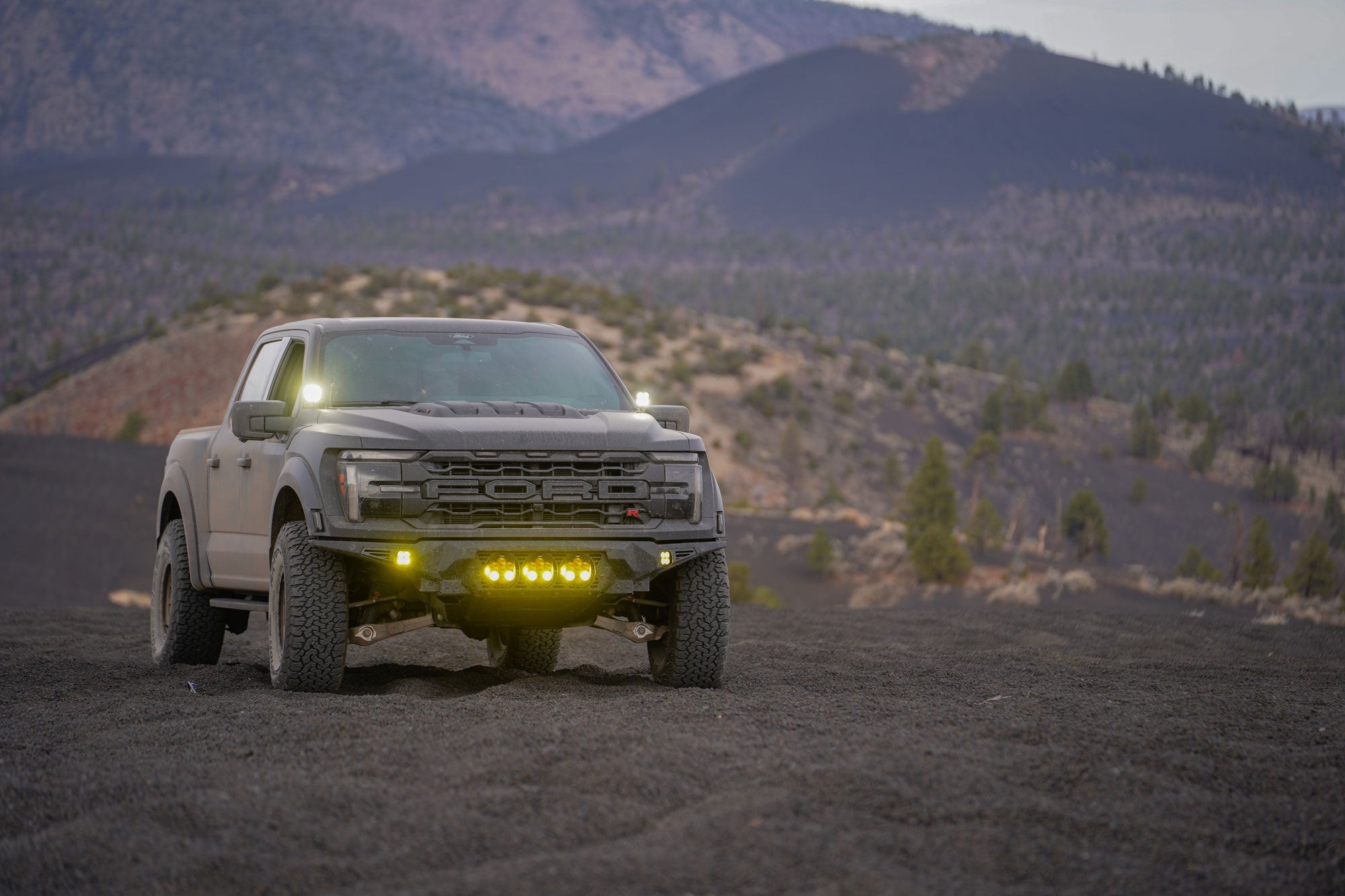 Raptors-cinder-hills-az-50 - NVMOS