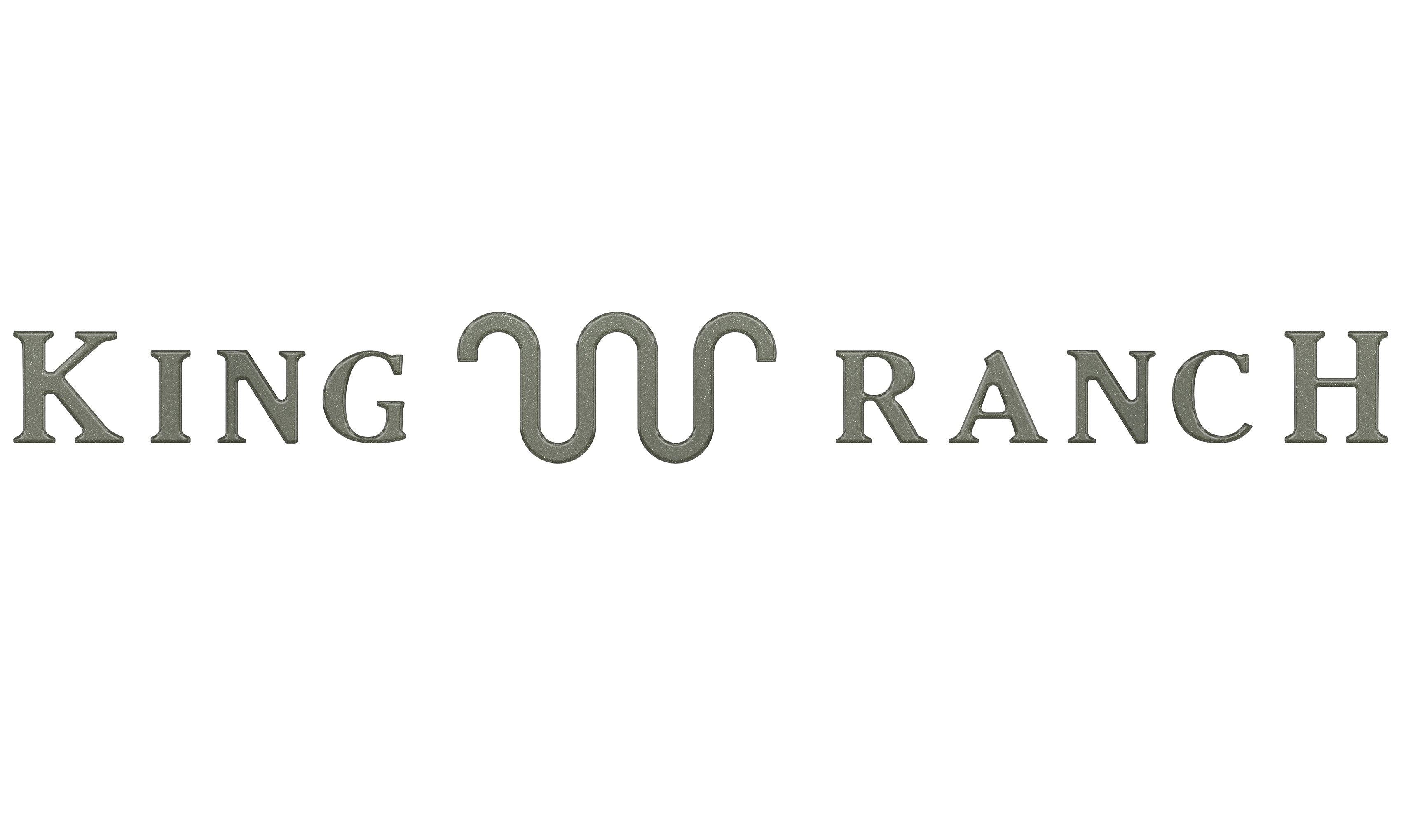 Tailgate Letter Inserts Fits 2023-2026 Ford Super Duty King Ranch