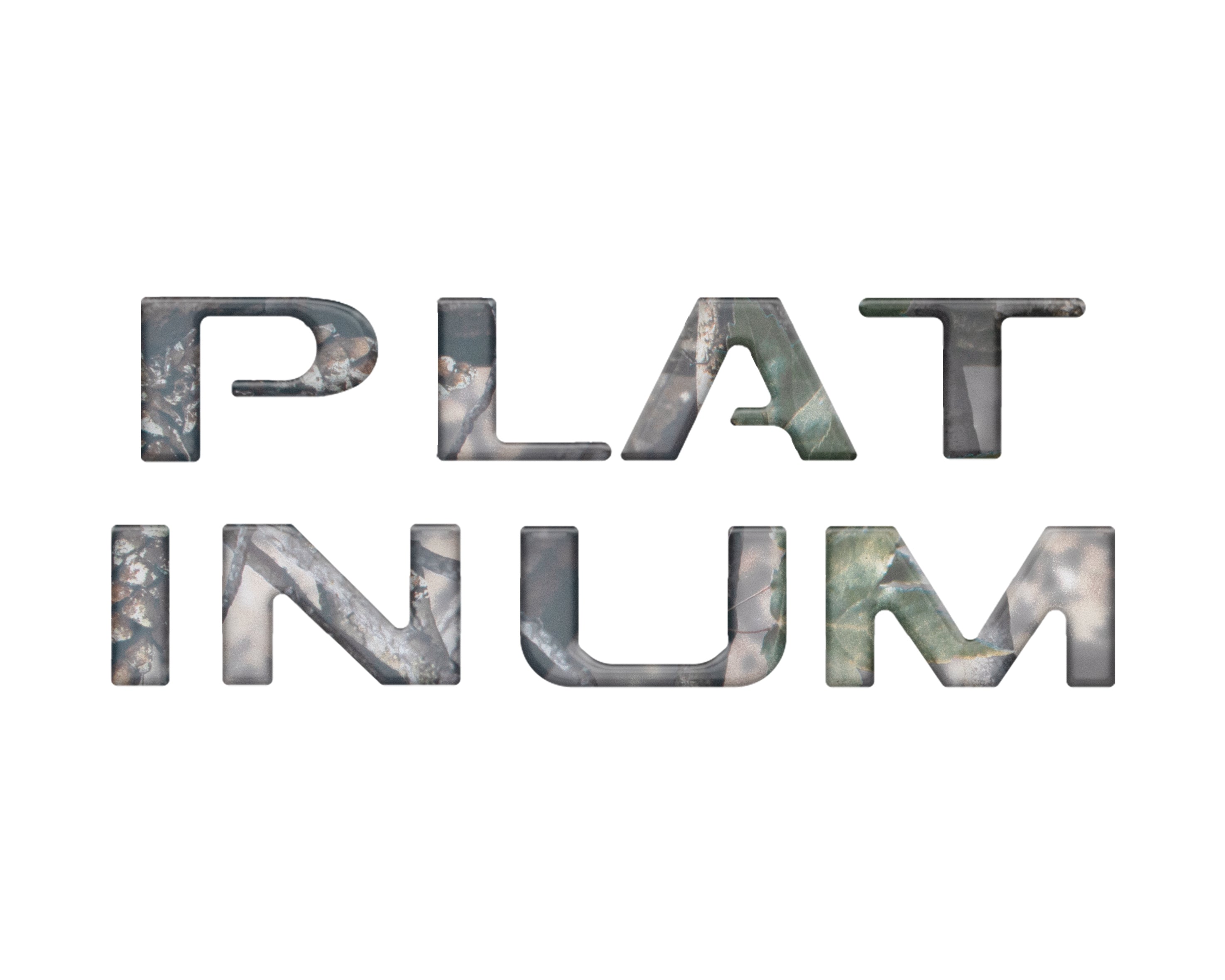 Platinum Tailgate Letter Inserts Fits 2023-2024 Ford Super Duty Platinum & 2025-2026 Platinum Plus