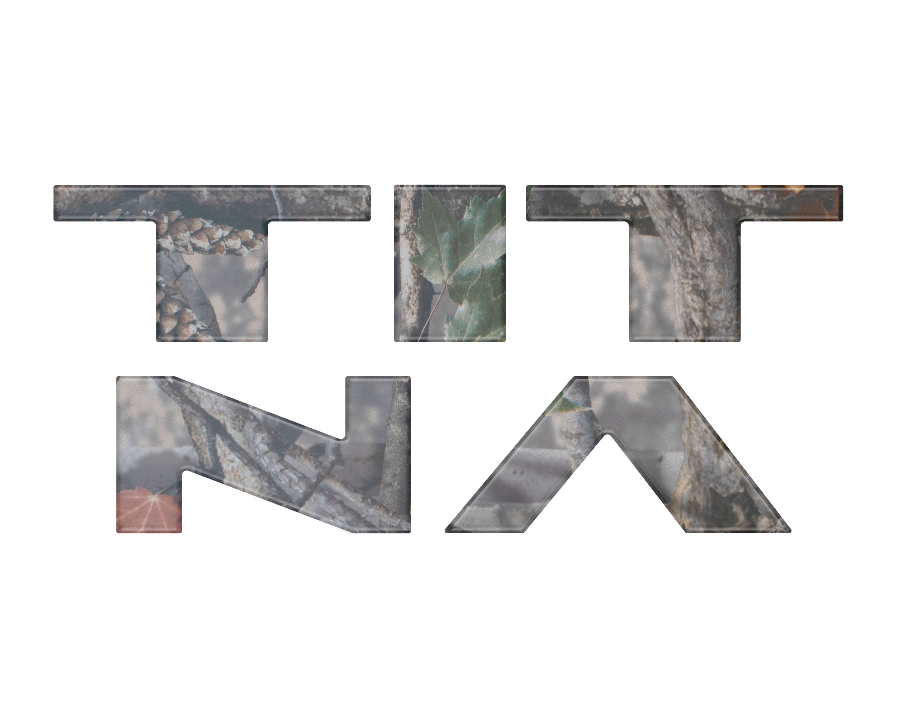 TTN002-CAM-M_20 - NVMOS