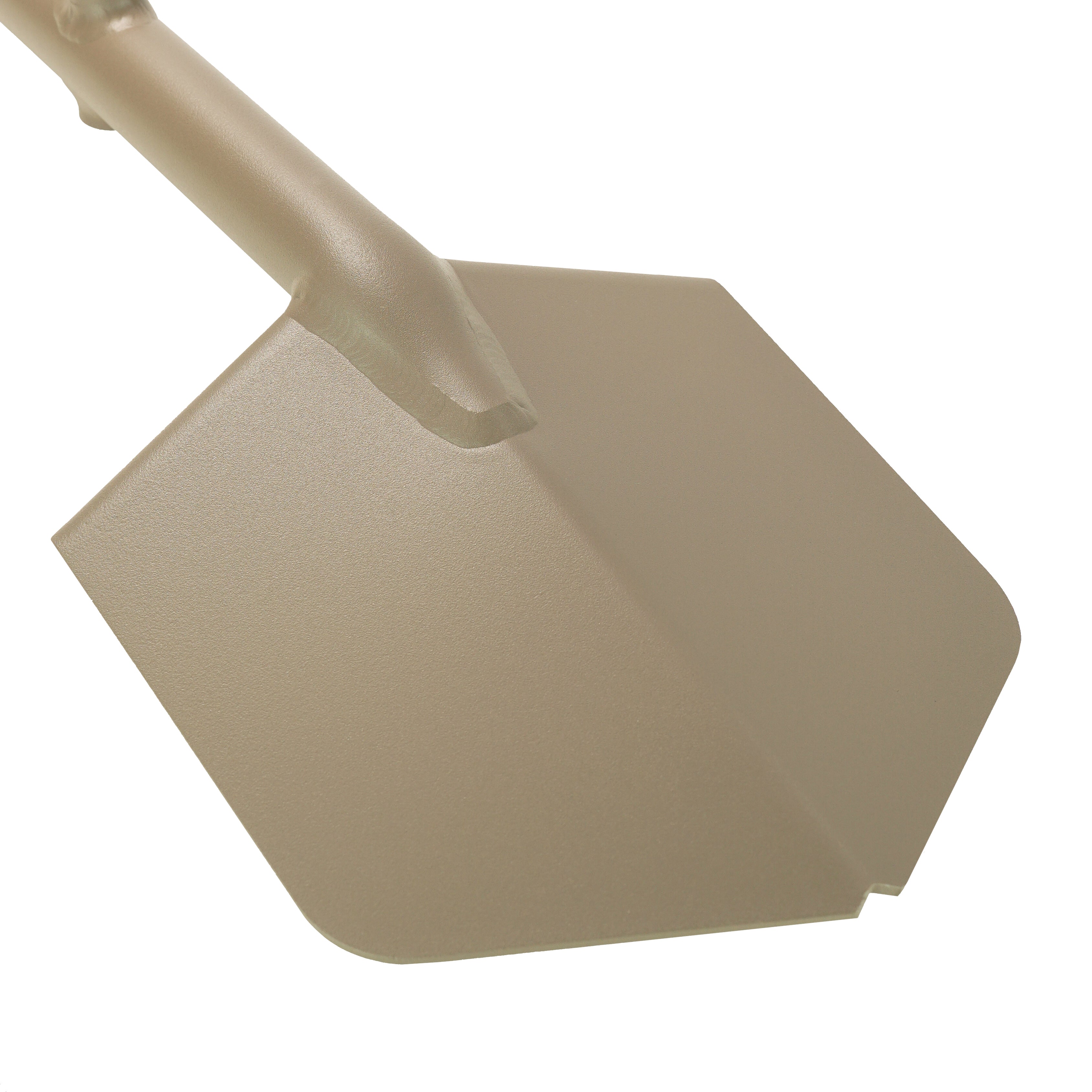ams2-fde-support1 - NVMOS