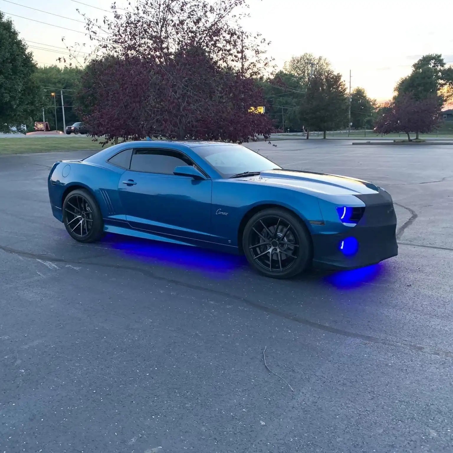 camaro_dianaobrien_3cea9231-de5d-4cc8-8cdb-17c249e17b7e - NVMOS