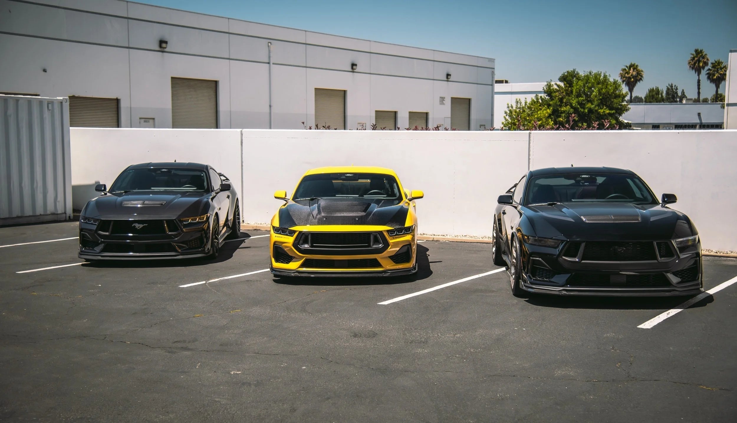 2024-Current Ford Mustang Splitter Extension