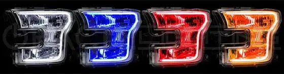 ford_f150_drl_grande_2ba35bbd-7680-4a79-847a-97c535564f65 - NVMOS
