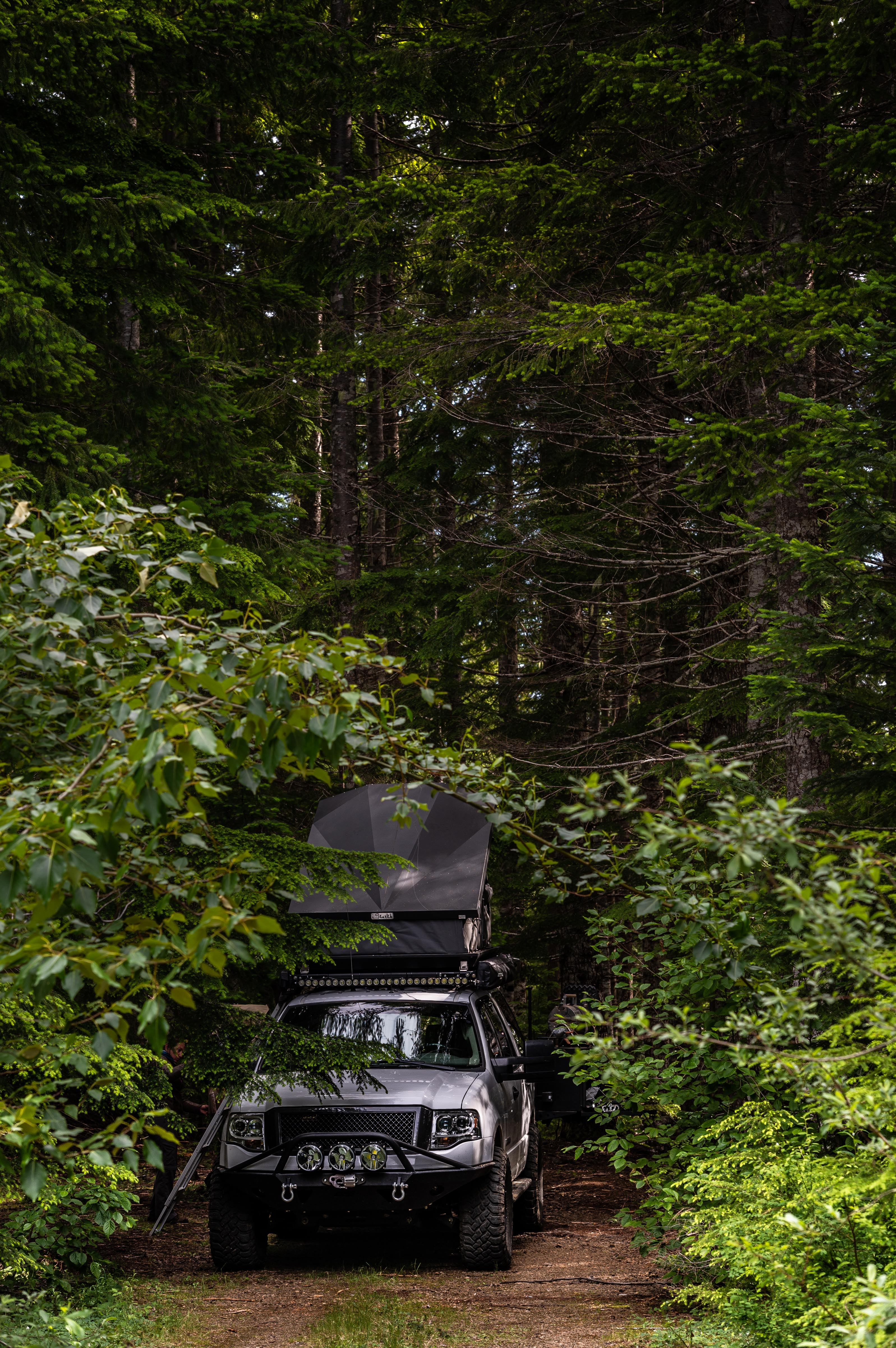stealth_tent_green_trees - NVMOS